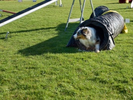 20160502194802-56fca28f-cu_s9999x200