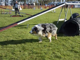 20160502194811-2761cc9b-cu_s9999x200