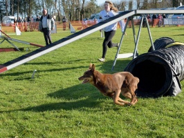 20160502194821-0811c7ae-cu_s9999x200