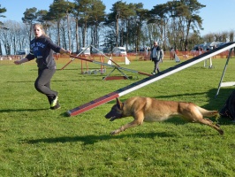 20160502194900-bf29b88d-cu_s9999x200