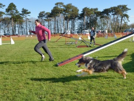 20160502194920-fb00ff1d-cu_s9999x200