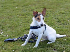 20160502195235-de38e029-cu_s9999x200