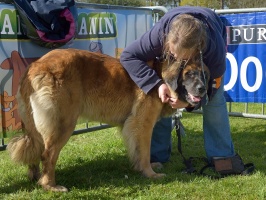 20160502195321-1c8682cf-cu_s9999x200