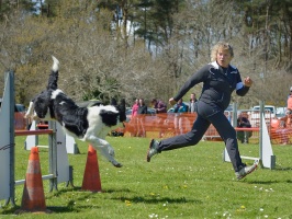 20160502195509-19a67804-cu_s9999x200