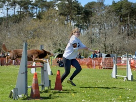 20160502195525-1924af4f-cu_s9999x200