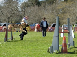 20160502195532-28d26b07-cu_s9999x200