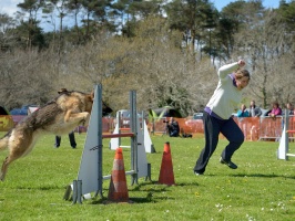 20160502195539-fef1bf8a-cu_s9999x200