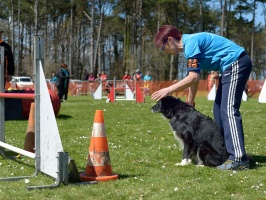 20160502195601-a82ed459-cu_s9999x200