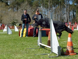 20160502195608-d89a037f-cu_s9999x200