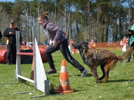 20160502195623-d1cb431b-cu_s9999x200