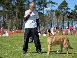 20160502195630-e921c6e5-cu_s9999x200