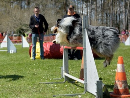 20160502195636-4f352926-cu_s9999x200