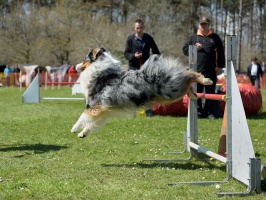 20160502195643-0fc915f1-cu_s9999x200