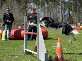 20160502195656-eb5ad4b4-cu_s9999x200