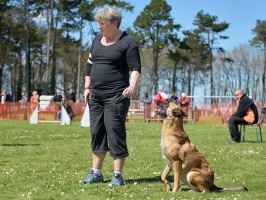 20160502195710-945fc5e5-cu_s9999x200