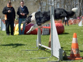 20160502195744-7fcd8bc4-cu_s9999x200