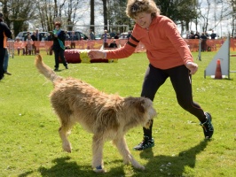 20160502195757-4e19b74c-cu_s9999x200