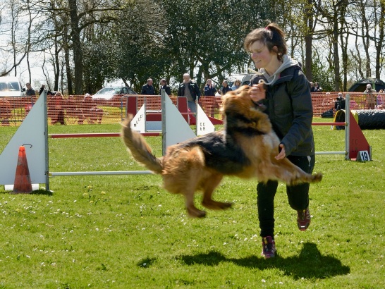 20160502195826-7209dc0f-cu_s9999x410