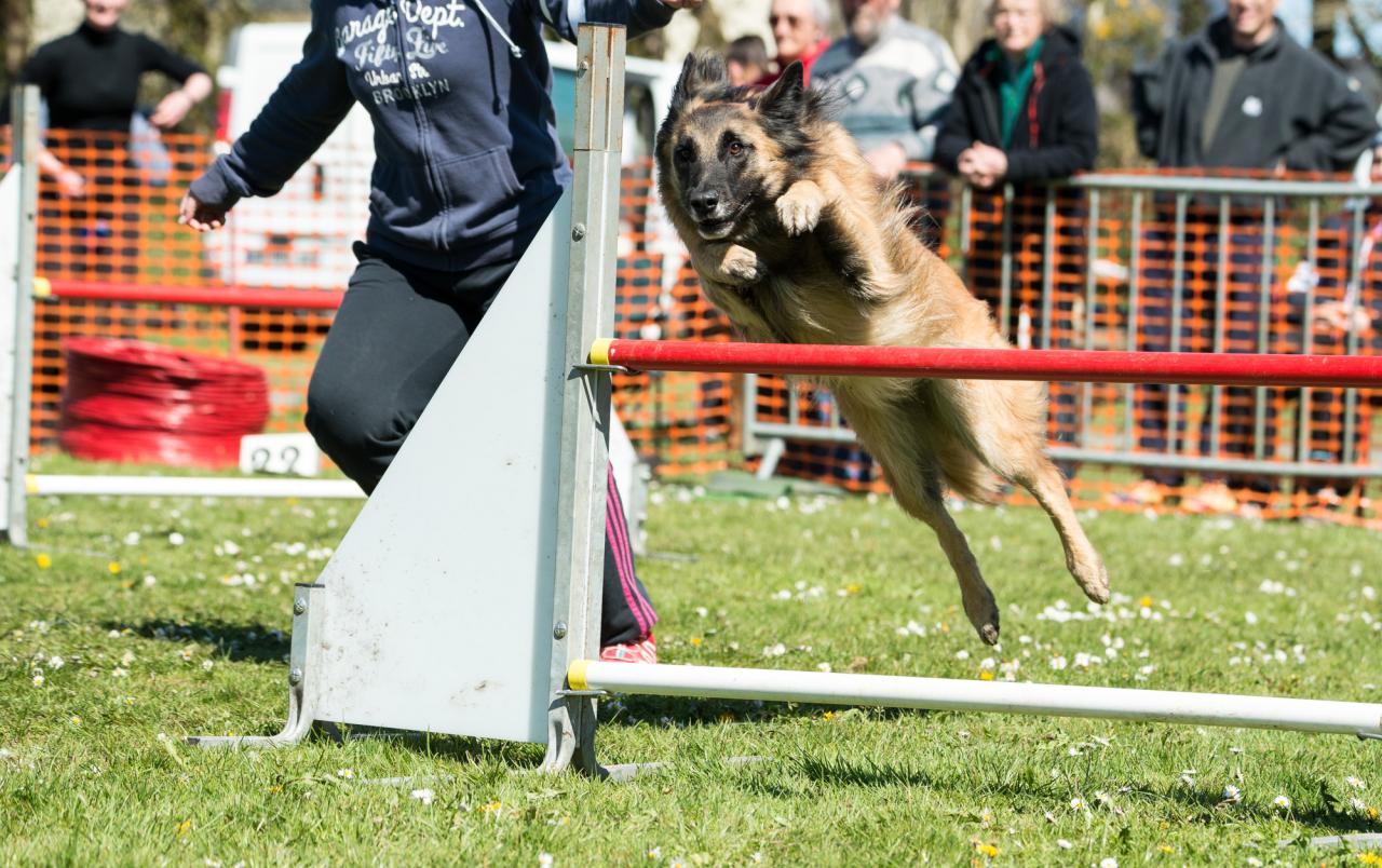 20161704_Jean_Pierre_Linossier-41