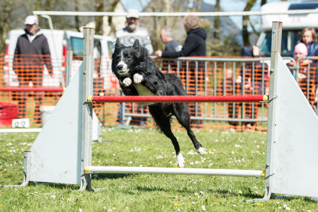 20161704_Jean_Pierre_Linossier-43