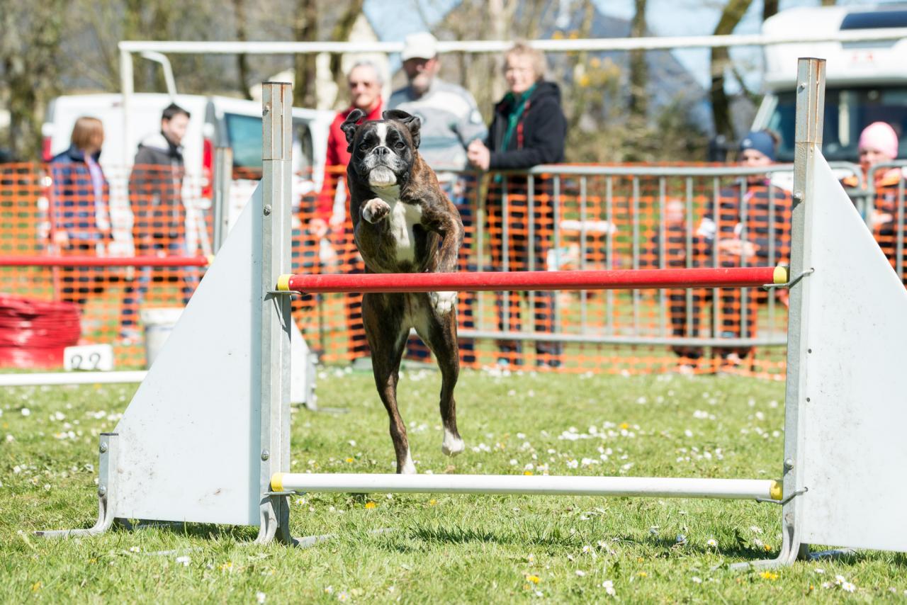 20161704_Jean_Pierre_Linossier-44