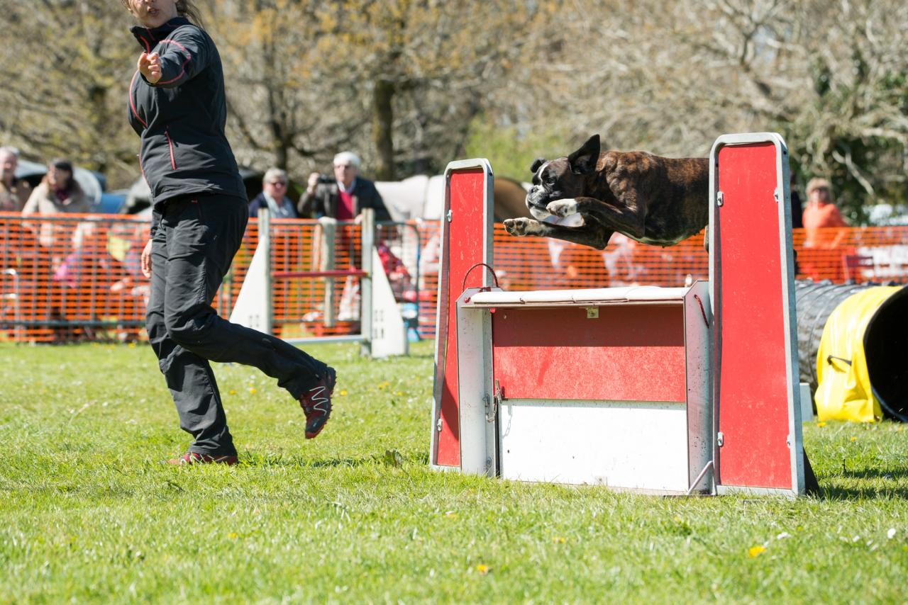 20161704_Jean_Pierre_Linossier-45