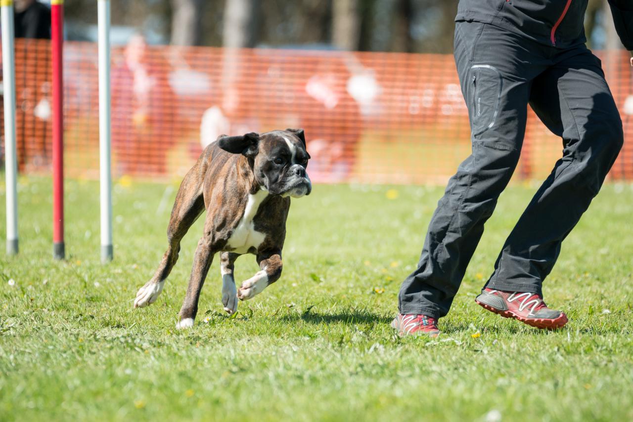 20161704_Jean_Pierre_Linossier-46