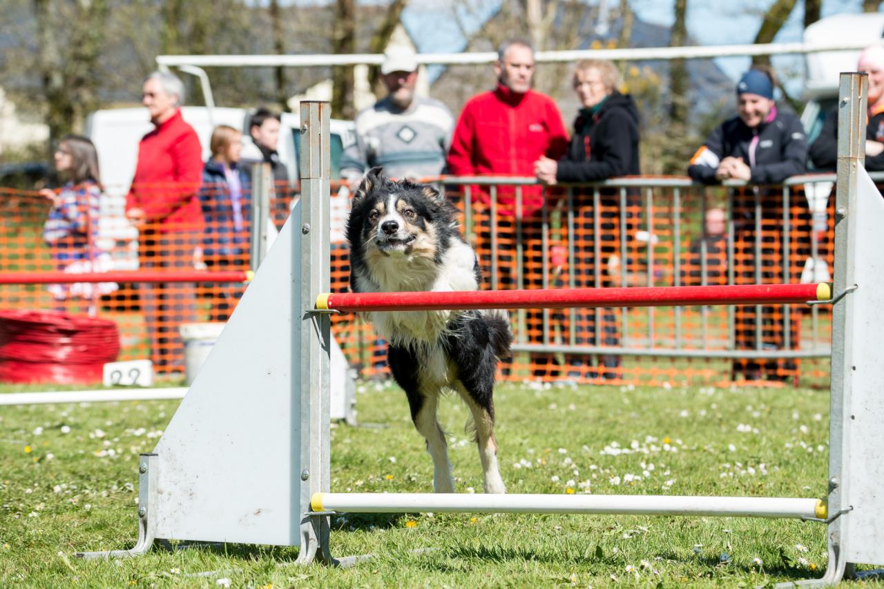 20161704_Jean_Pierre_Linossier-49