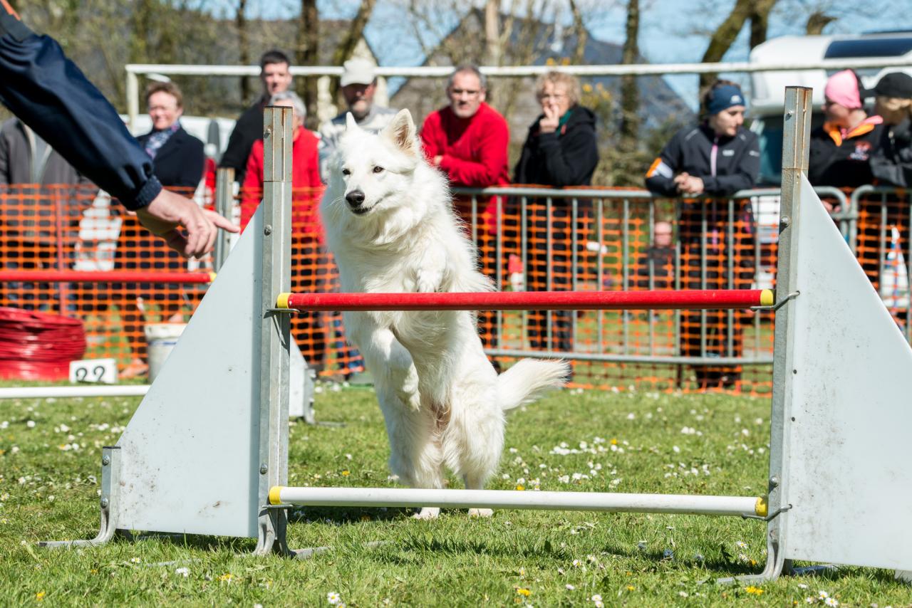 20161704_Jean_Pierre_Linossier-51