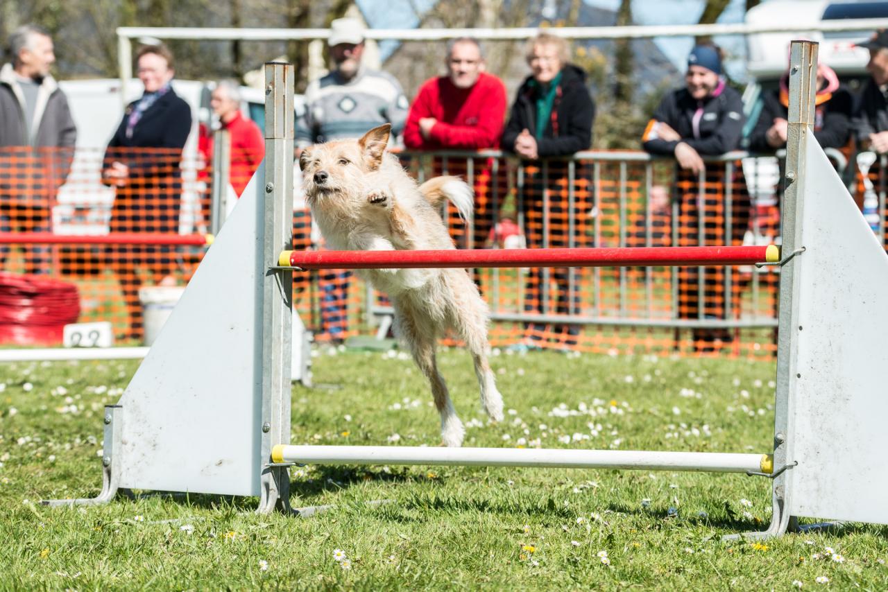 20161704_Jean_Pierre_Linossier-53