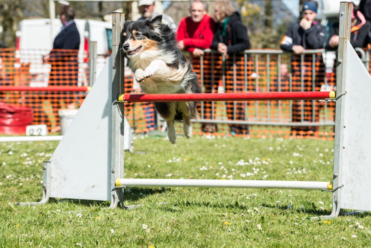 20161704_Jean_Pierre_Linossier-54