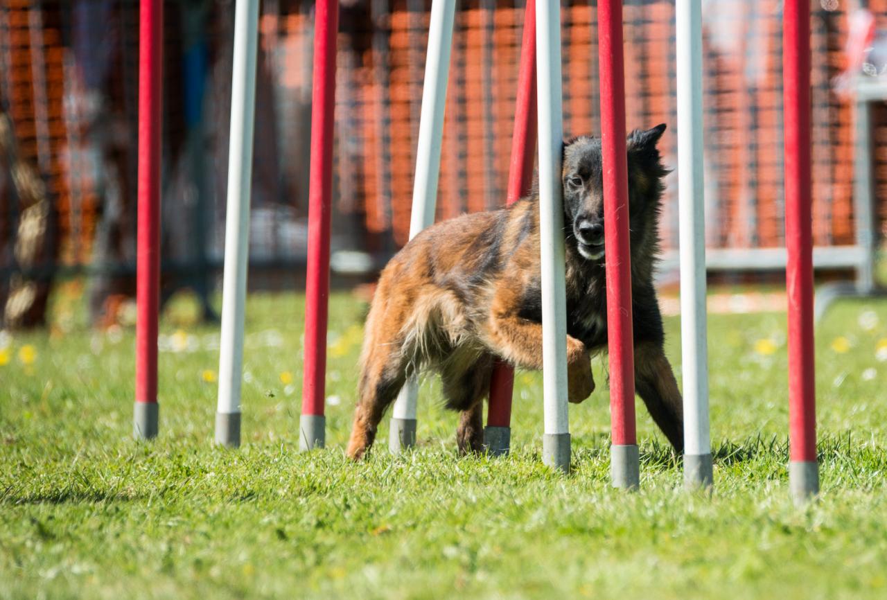 20161704_Jean_Pierre_Linossier-55