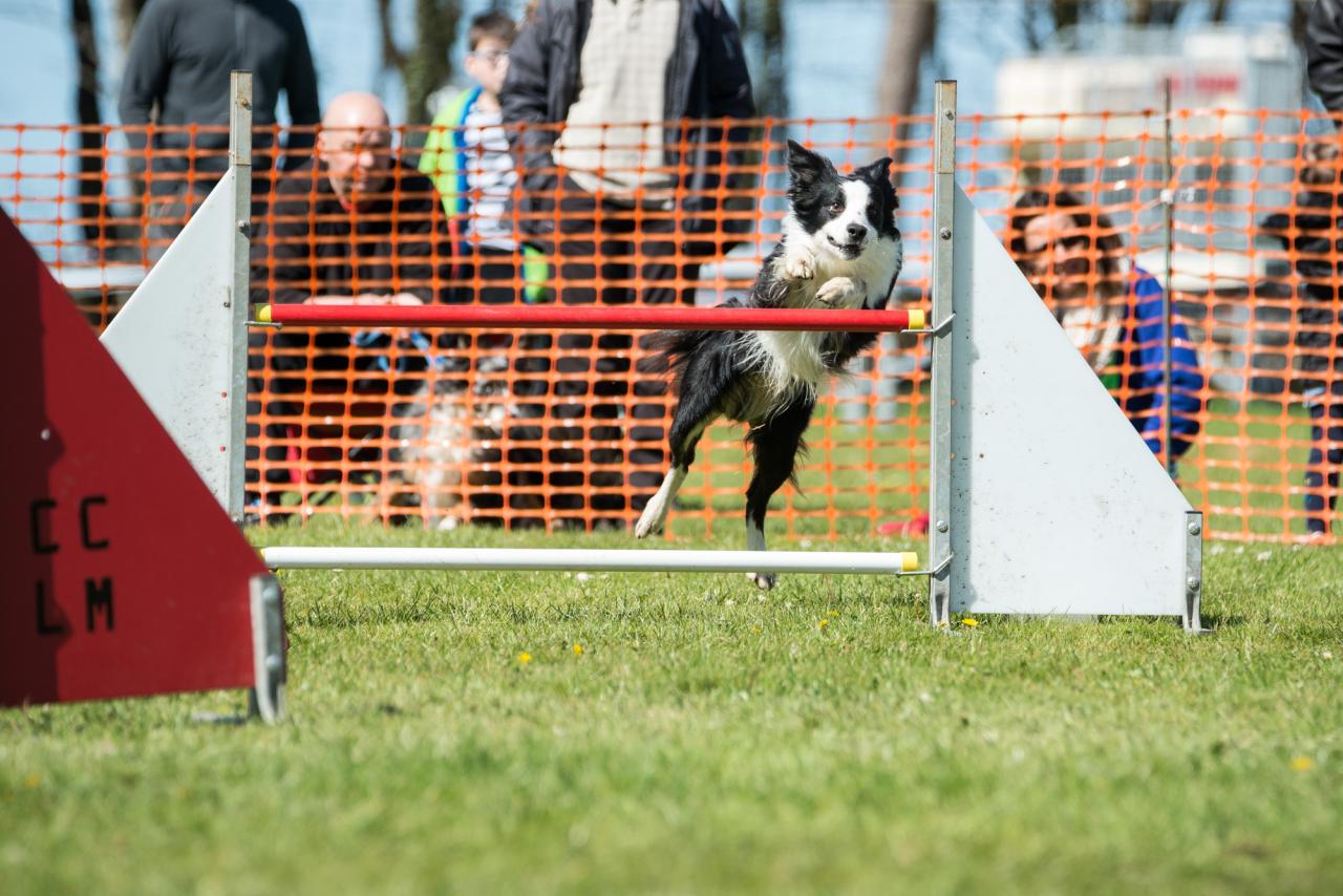 20161704_Jean_Pierre_Linossier-57