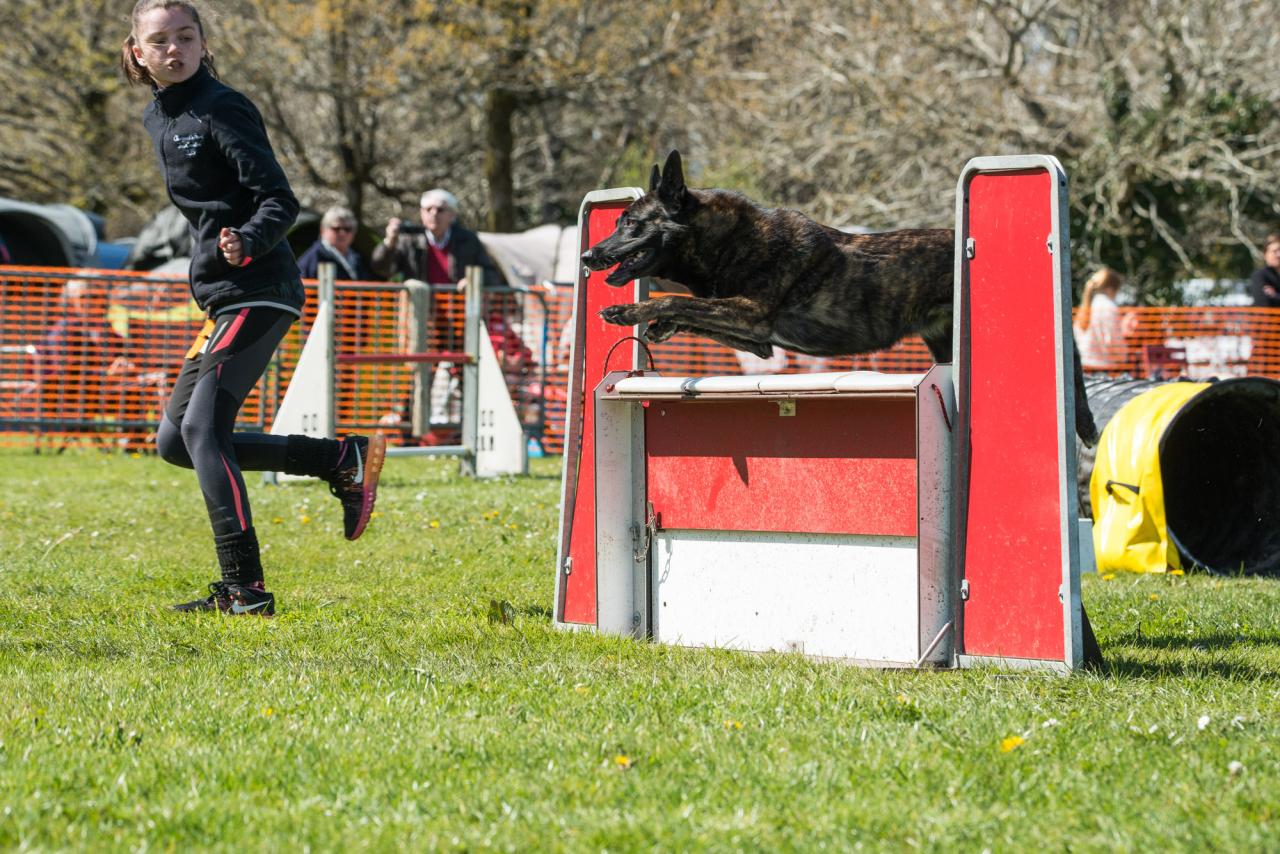 20161704_Jean_Pierre_Linossier-58