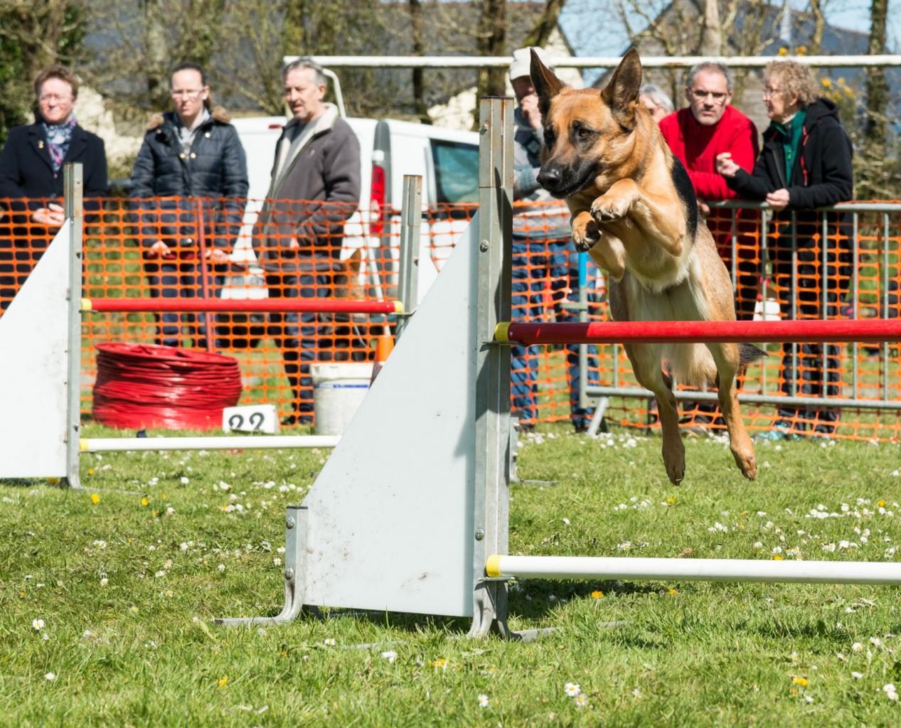 20161704_Jean_Pierre_Linossier-59