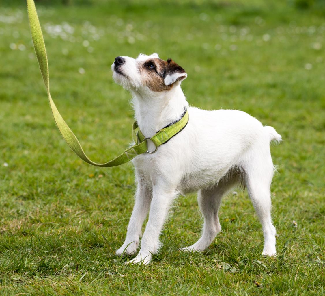 20161704_Jean_Pierre_Linossier-62