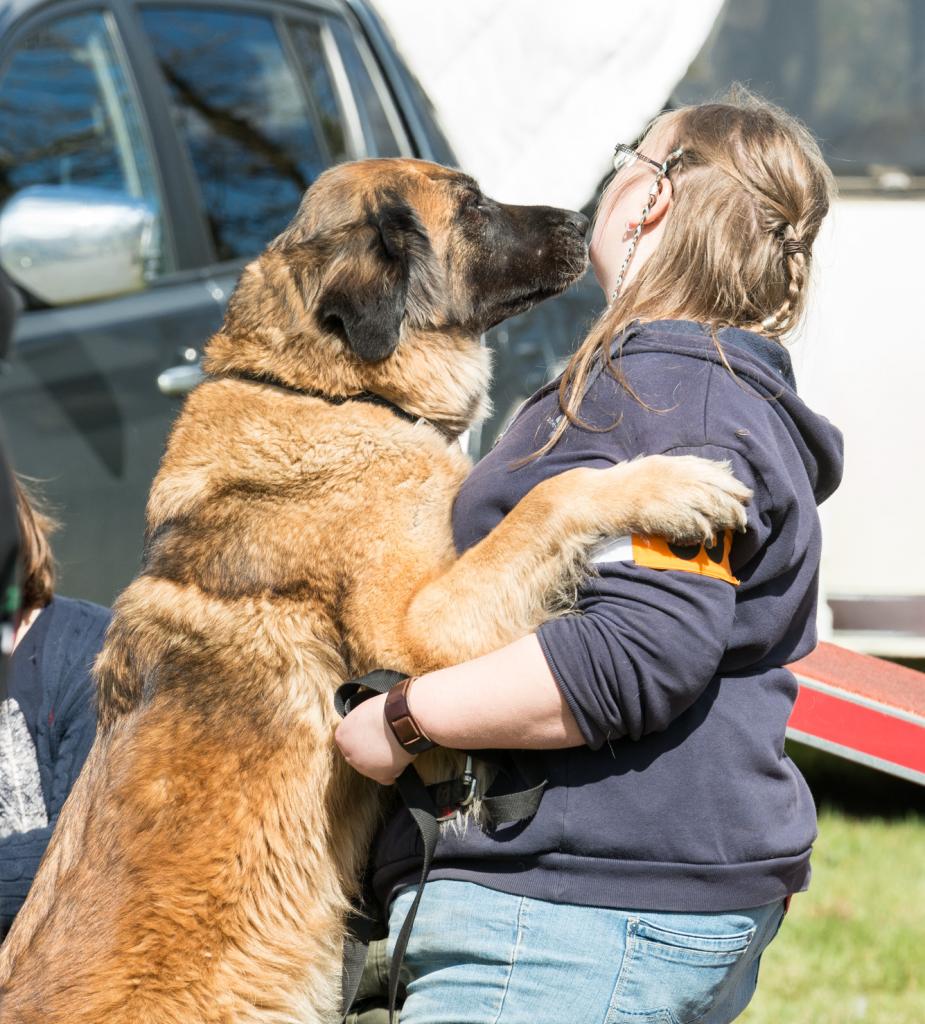 20161704_Jean_Pierre_Linossier-63