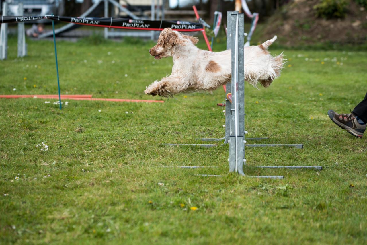 20161704_Jean_Pierre_Linossier-64