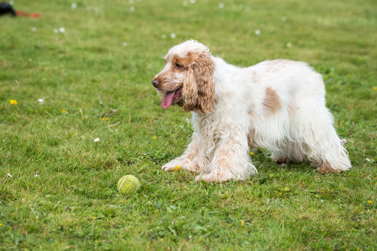 20161704_Jean_Pierre_Linossier-65