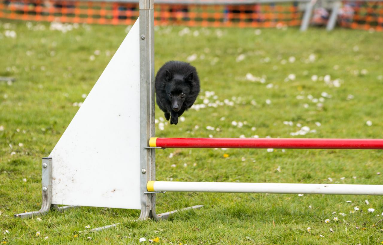 20161704_Jean_Pierre_Linossier-66