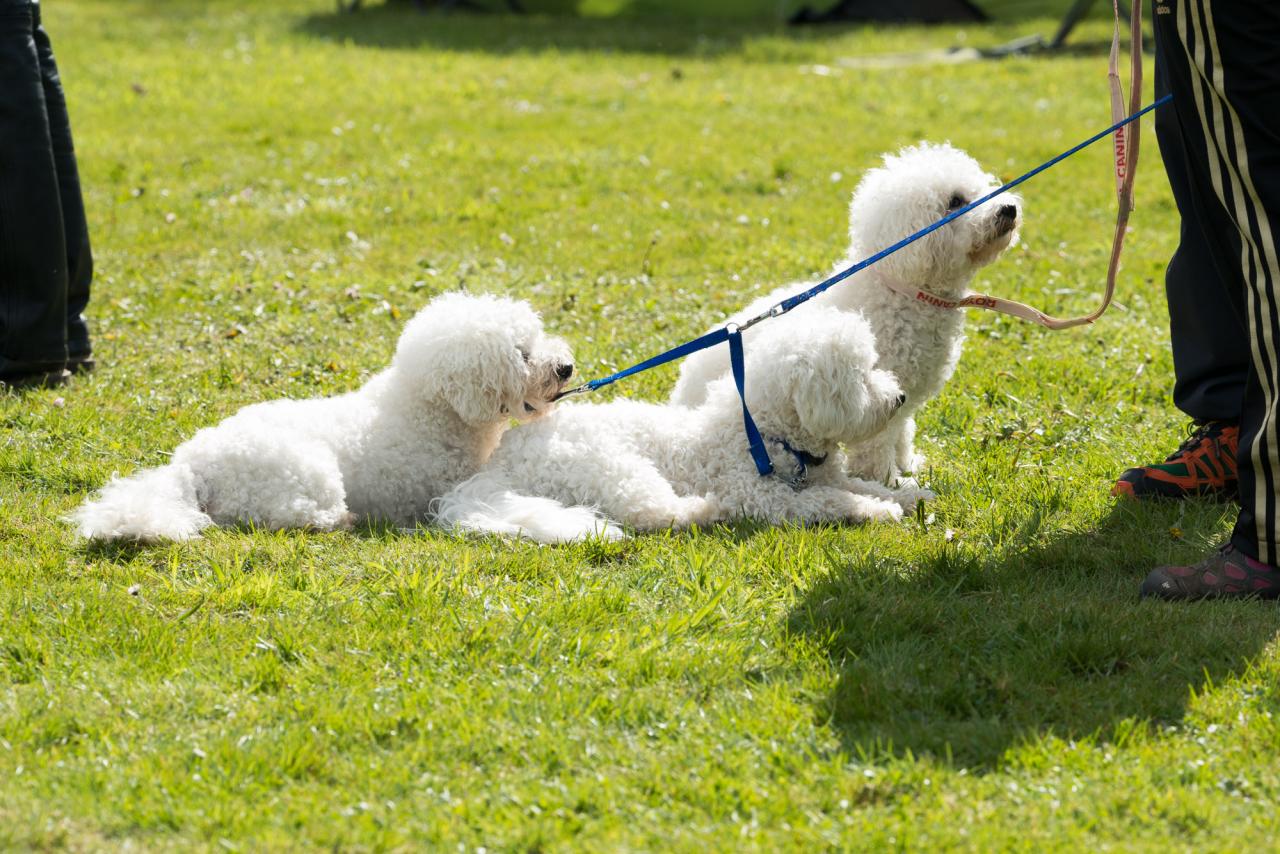 20161704_Jean_Pierre_Linossier-68