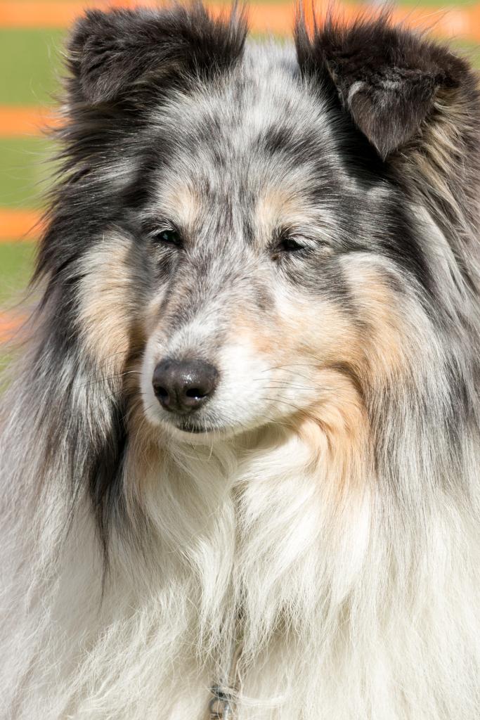 20161704_Jean_Pierre_Linossier-69