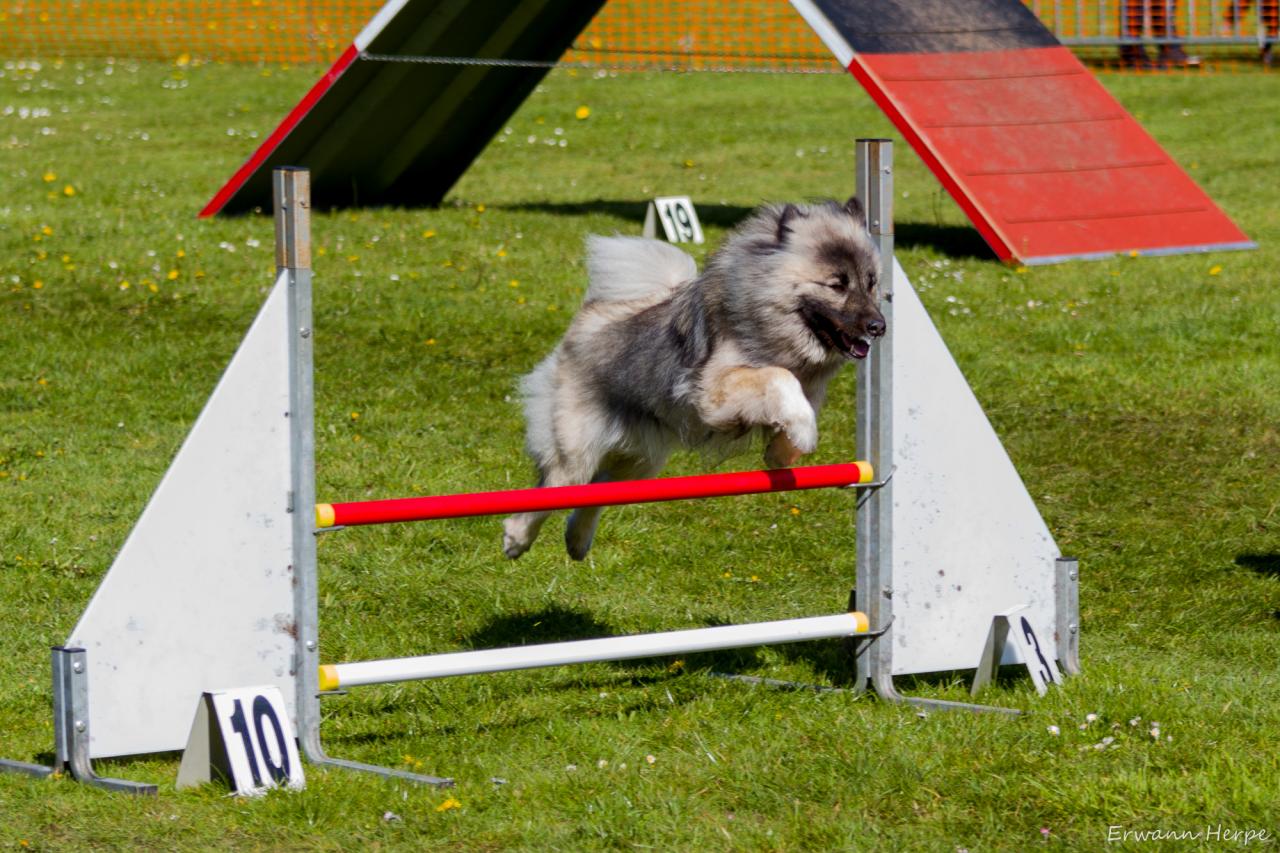 4281_20160417_E_Herpe_001_2000x1333