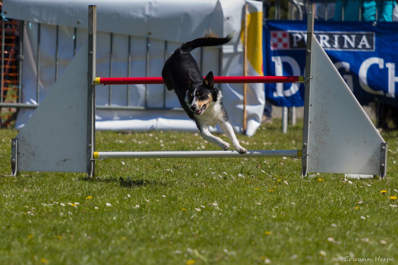 4288_20160417_E_Herpe_008_2000x1333