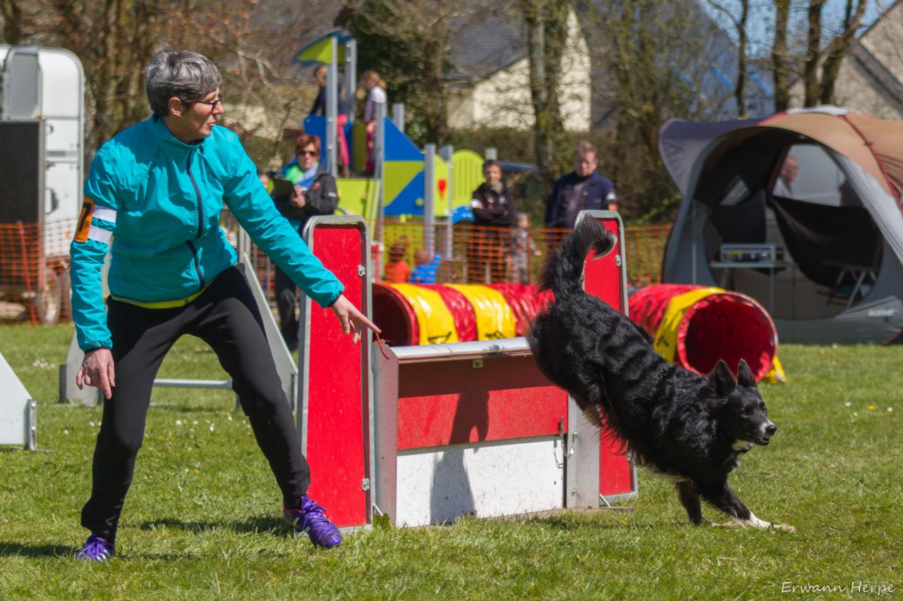 4289_20160417_E_Herpe_009_2000x1333