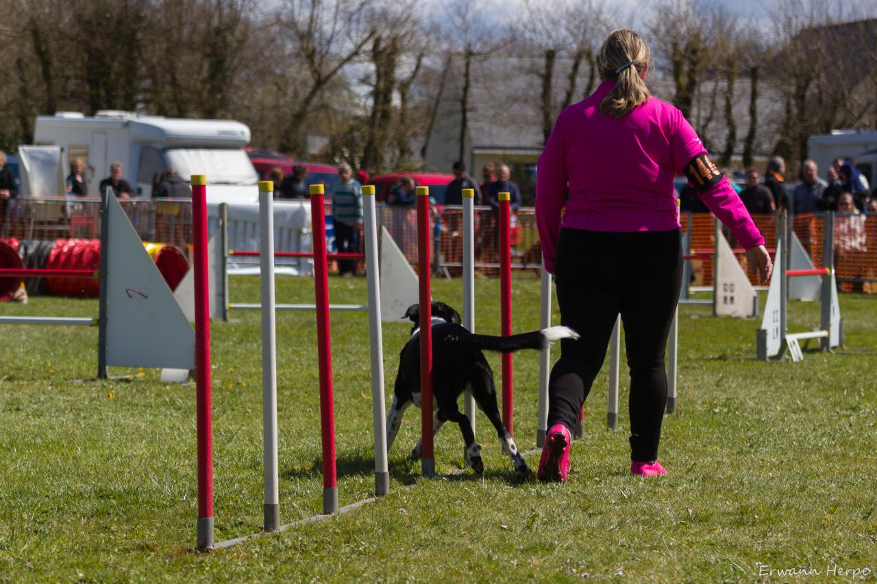 4290_20160417_E_Herpe_010_2000x1333