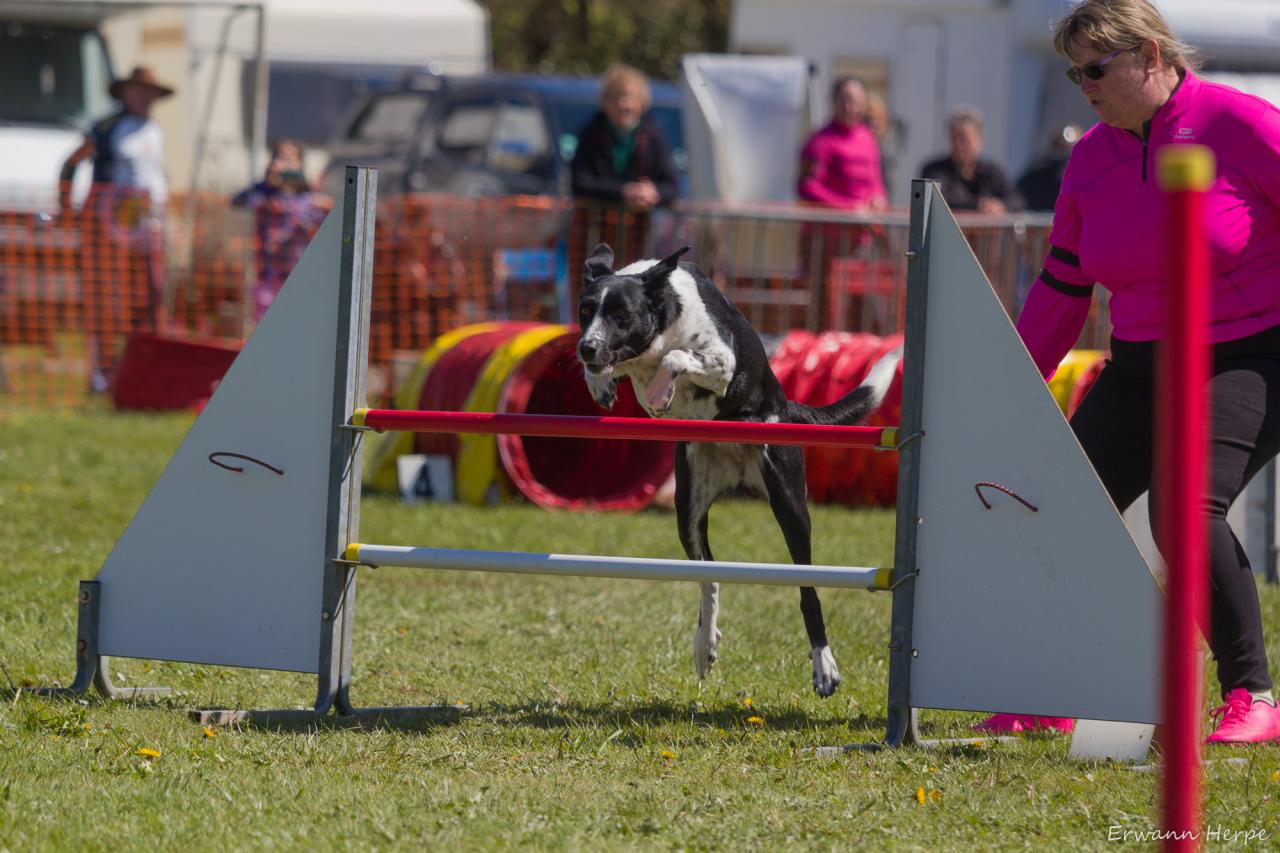 4291_20160417_E_Herpe_011_2000x1333