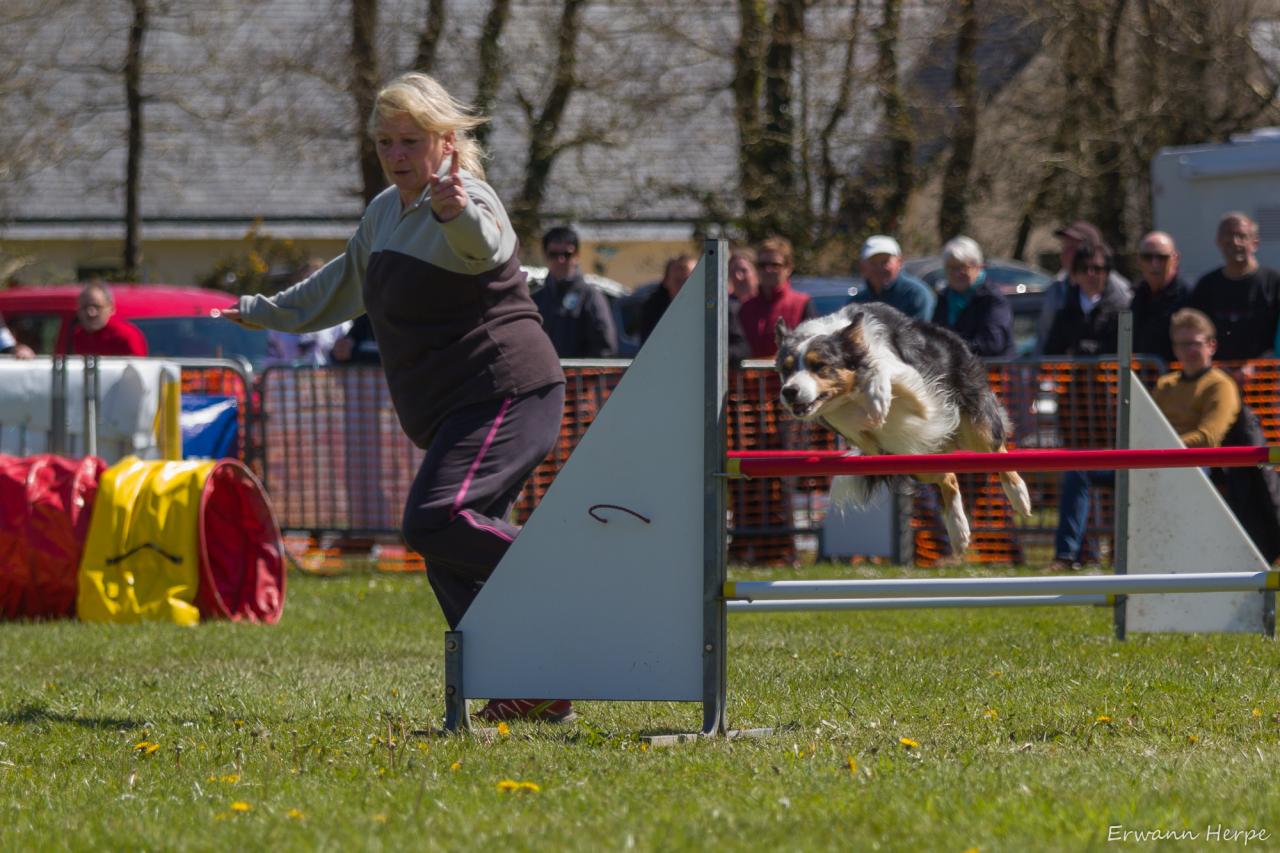 4294_20160417_E_Herpe_014_2000x1333