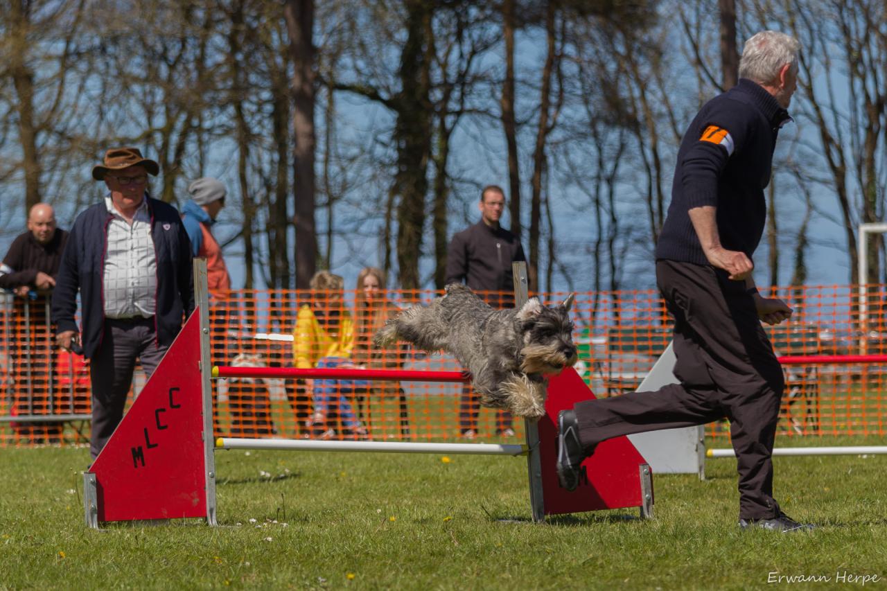 4297_20160417_E_Herpe_017_2000x1333