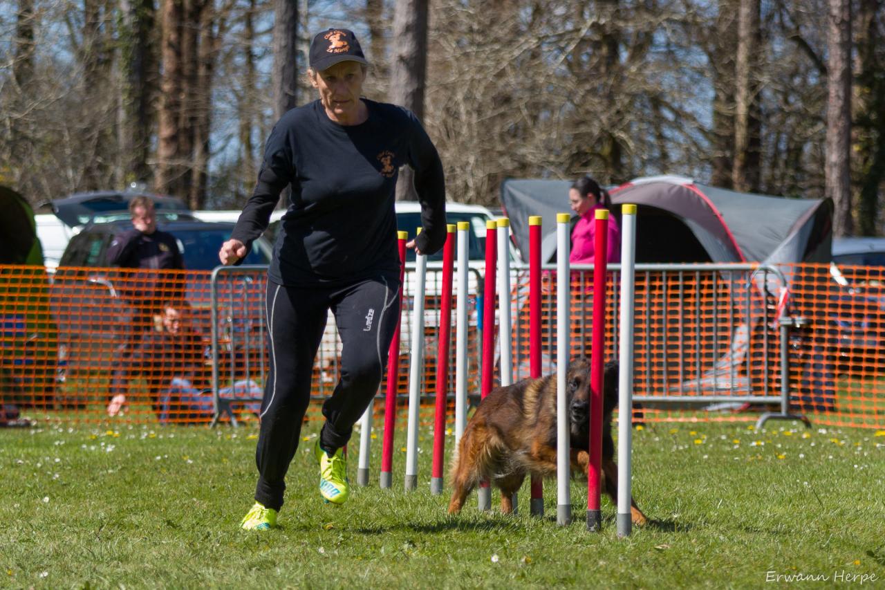 4298_20160417_E_Herpe_018_2000x1333